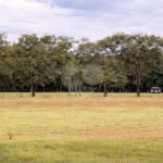 Terreno à venda em Vila do Golf, Ribeirão Preto, SP