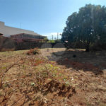 Terreno à venda em Núcleo Residencial Professor Carlos Aldrovandi, Indaiatuba, SP