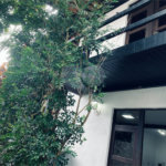 Casa em condomínio para alugar com 1 quarto em Geribá, Armação dos Búzios, RJ