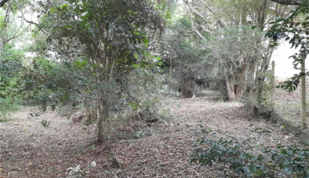Terreno à venda em Chácaras Fernão Dias, Atibaia, SP
