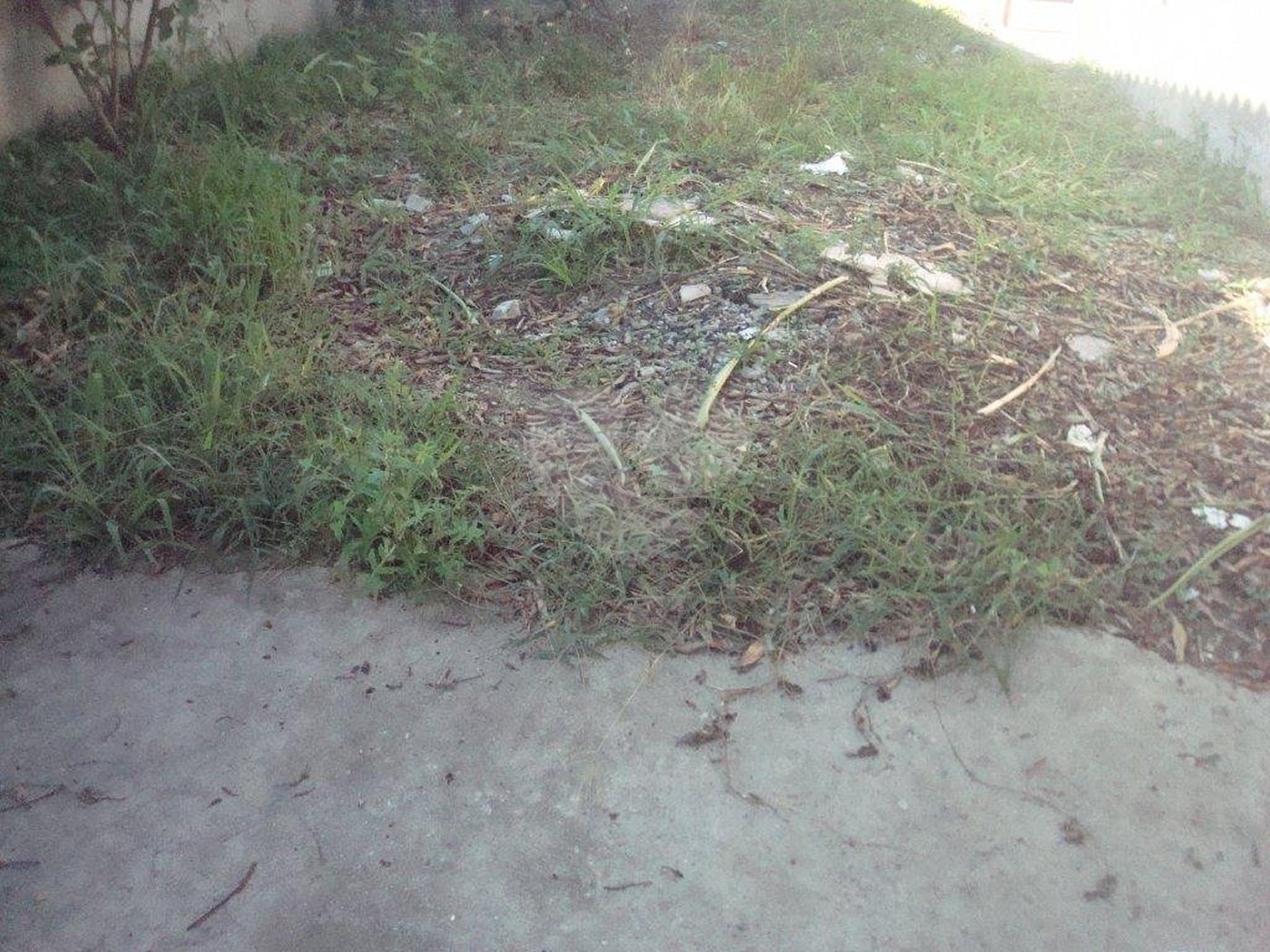 Terreno à venda em Vila Nova Mazzei, São Paulo, SP