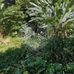 Terreno à venda em Tremembé, São Paulo, SP
