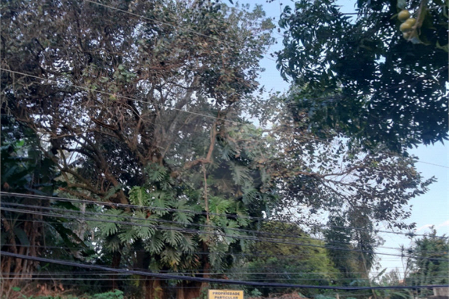 Terreno à venda em Vila Irmãos Arnoni, São Paulo, SP