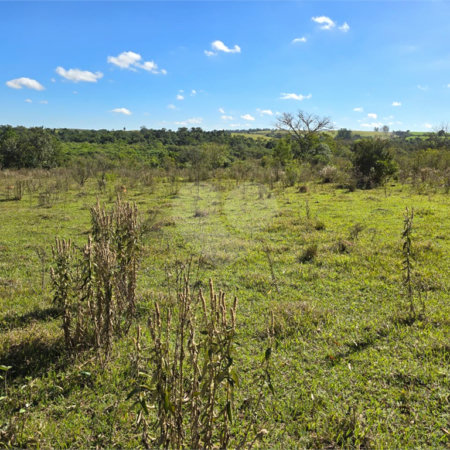 Terreno à venda em Cercadinho, Alambari, SP