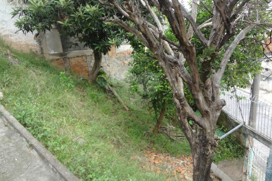 Terreno à venda no condomínio Terreno - Rua Catileias, 150, São Paulo - SP