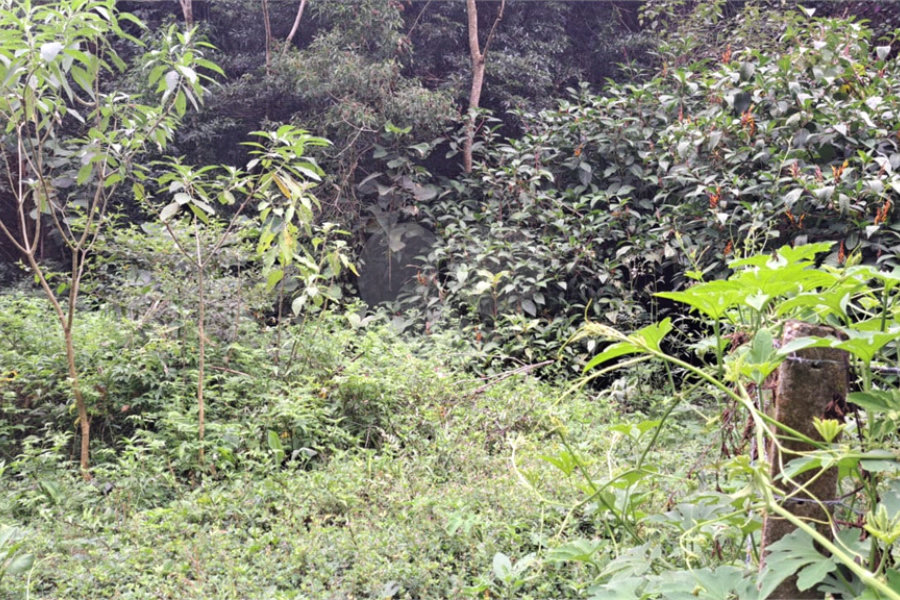 Terreno à venda no condomínio Campos de Mairiporã Gleba 1, Mairiporã - SP