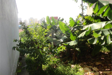 Terreno à venda em Vila São José, Valinhos, SP