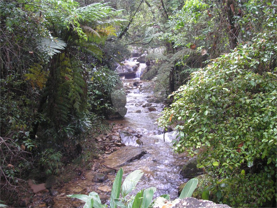Terreno à venda com 3 quartos em Chácara Malota, Jundiaí, SP