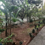 Apartamento à venda com 3 quartos, sendo 1 suíte, em Santana, São Paulo, SP