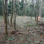 Terreno à venda em Roseira, Mairiporã, SP