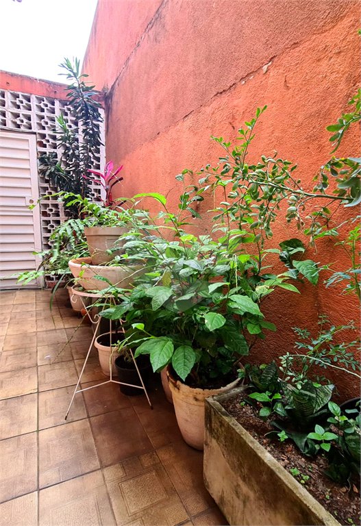 Sobrado à venda com 3 quartos em Limão, São Paulo, SP