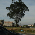 Terreno à venda em Jardim Ponte Alta I, Guarulhos, SP