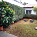 Sobrado à venda com 3 suítes em Jardim Realce, Suzano, SP