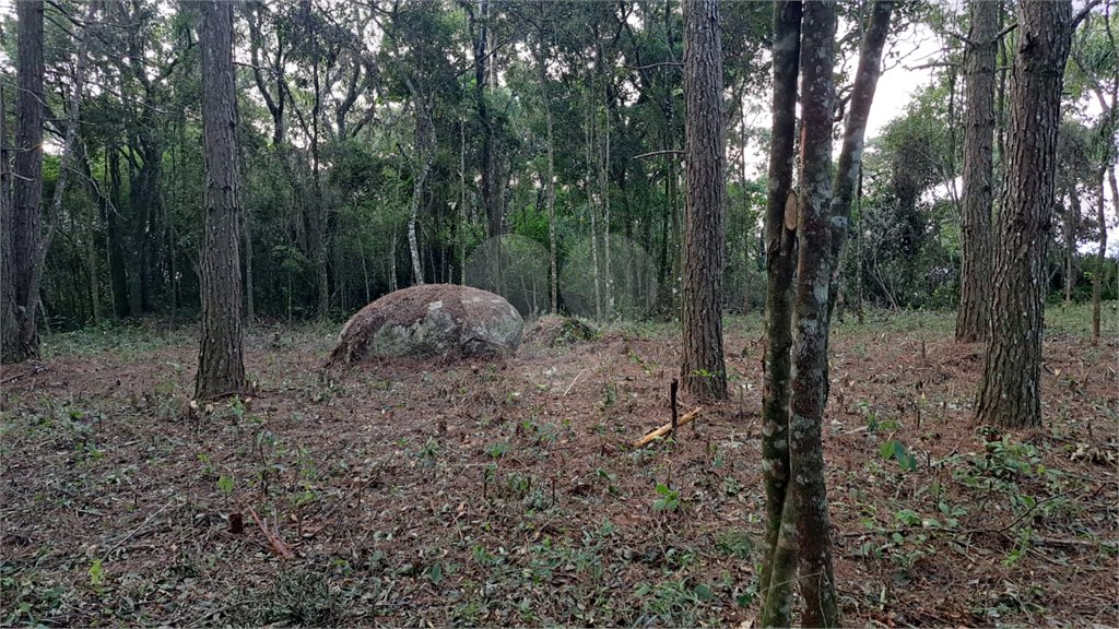 Terreno à venda em Roseira, Mairiporã, SP