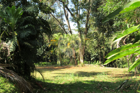Terreno à venda no condomínio Chácara Flora, São Paulo - SP