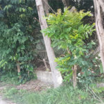 Terreno à venda em Serra da Cantareira, Mairiporã, SP
