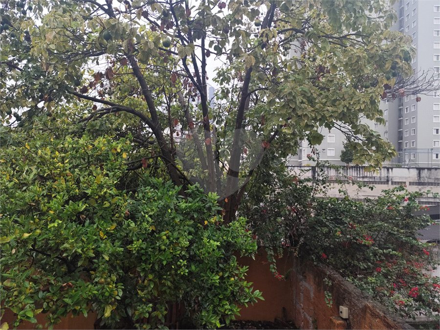Sobrado para alugar com 2 quartos, sendo 1 suíte, em Santana, São Paulo, SP