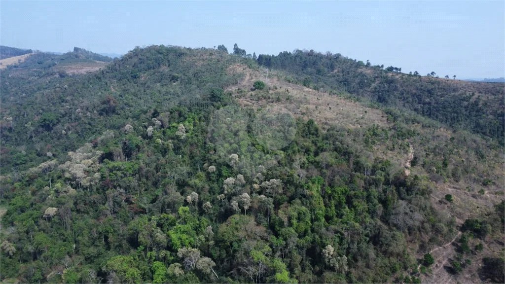 FAZENDA FORTALEZA, Caldas - MG