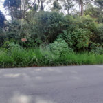 Terreno à venda em Serra da Cantareira, Mairiporã, SP