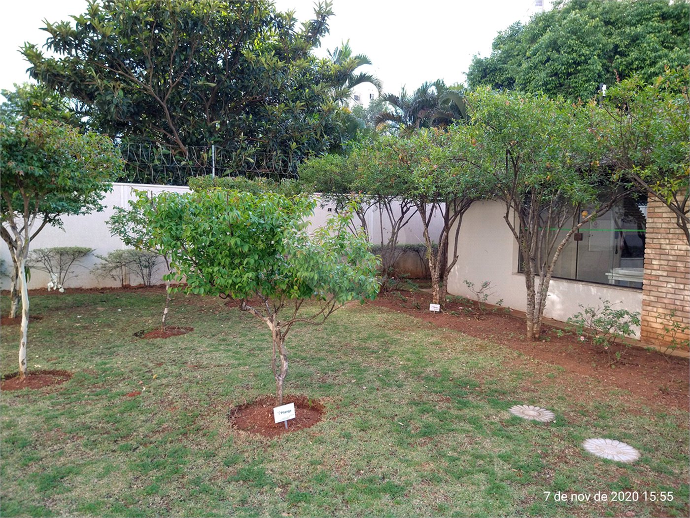 Apartamento à venda com 3 quartos, sendo 1 suíte, em Lauzane Paulista, São Paulo, SP