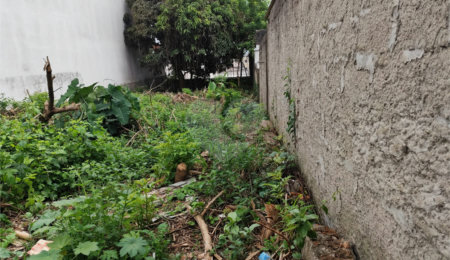 Terreno à venda com 1 suíte em Vila Constança, São Paulo, SP