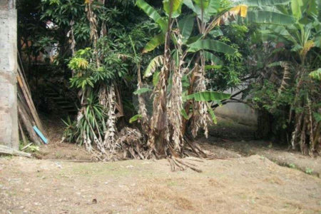 Terreno à venda em Jardim Jussara, São Paulo, SP