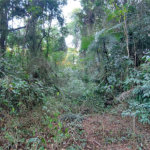 Terreno à venda no condomínio Sausalito, Mairiporã - SP