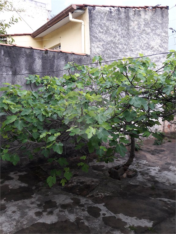 Casa Térrea à venda com 2 quartos em Freguesia do Ó, São Paulo, SP