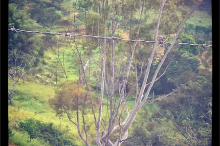Hotel à venda com 7 quartos, sendo 4 suítes, no Centro, Soledade de Minas, MG