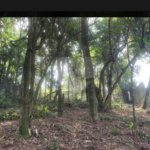 Terreno à venda em Jardim Peri Peri, São Paulo, SP