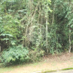 Condomínio à venda em Serra da Cantareira, Mairiporã, SP