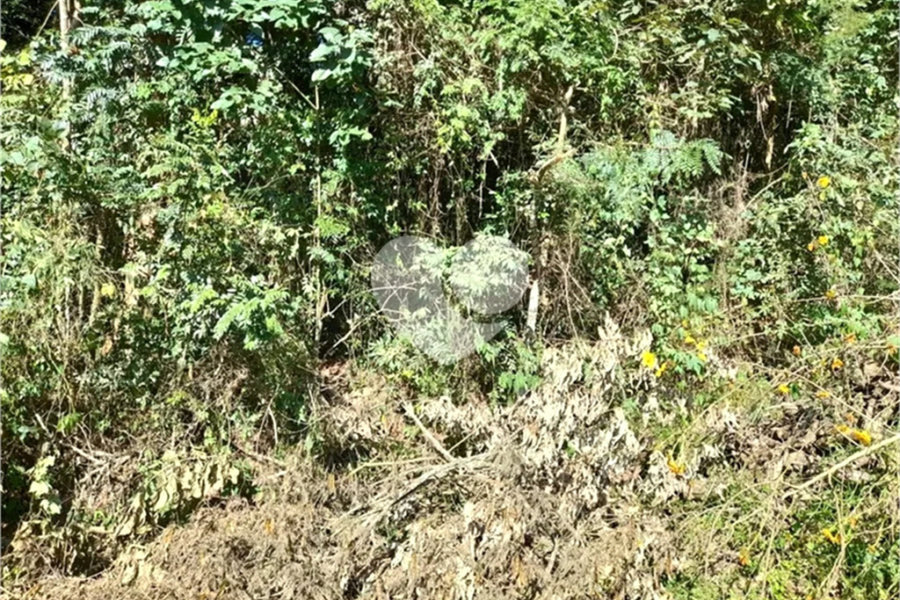 Terreno à venda em Roseira, Mairiporã, SP