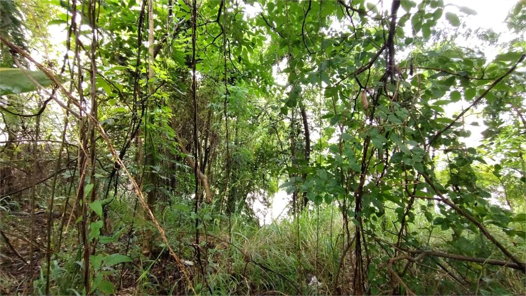Terreno à venda em Vila Suzana, São Paulo, SP