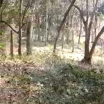 Terreno à venda em Luiz Fagundes, Mairiporã, SP