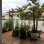 Casa à venda com 3 quartos, sendo 1 suíte, no Brasilândia, São Paulo, SP