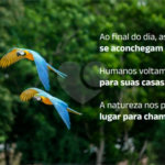 Apartamento à venda com 2 quartos em Parque Residencial Rafael Alcalá, Porto Feliz, SP