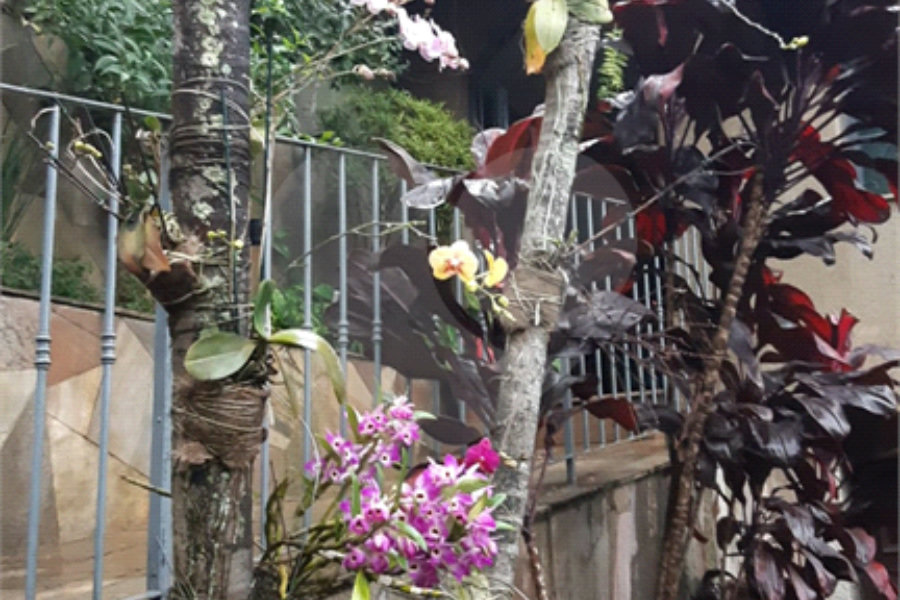 Sobrado à venda com 3 quartos, sendo 1 suíte, em Vila Mazzei, São Paulo, SP