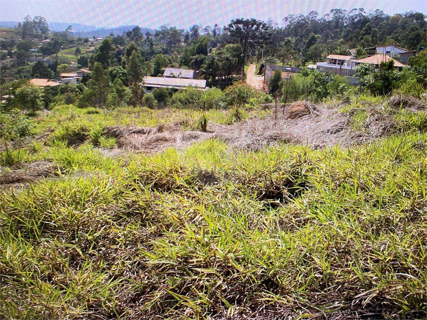 Terreno à venda em Pouso Alegre, Mairinque, SP