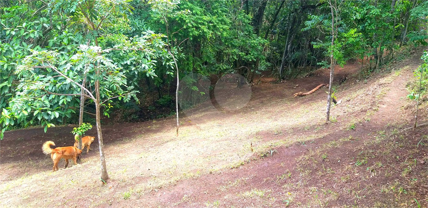 Sítio à venda no Centro, Monte Sião, MG