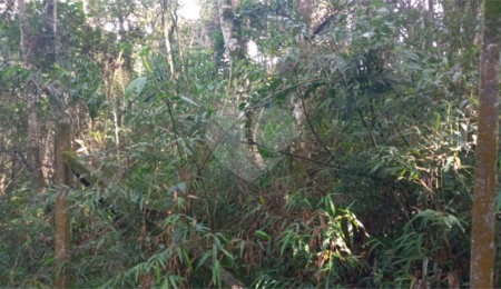Terreno à venda em Serra da Cantareira, Mairiporã, SP