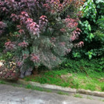 Terreno à venda no condomínio Cantareira, Mairiporã - SP