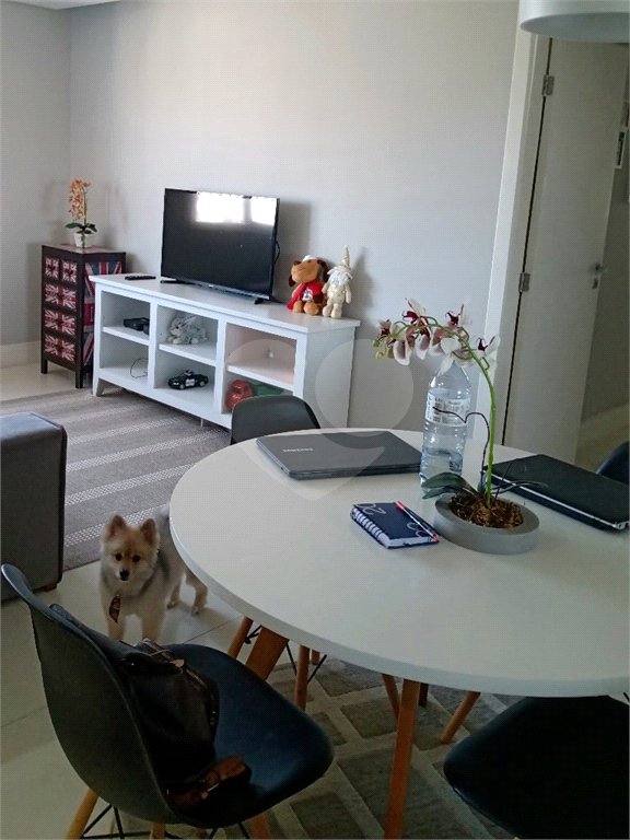 Apartamento à venda com 2 quartos, sendo 1 suíte, em Santana, São Paulo, SP