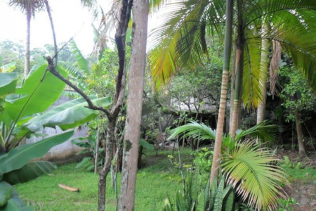 Sobrado à venda com 3 quartos, sendo 1 suíte,  em Vila São Francisco, São Paulo, SP