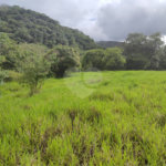 Terreno à venda no Centro, Bom Jesus dos Perdões, SP