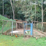 Sítio à venda com 3 quartos, sendo 1 suíte, em Bairro do Cambará, São Roque, SP