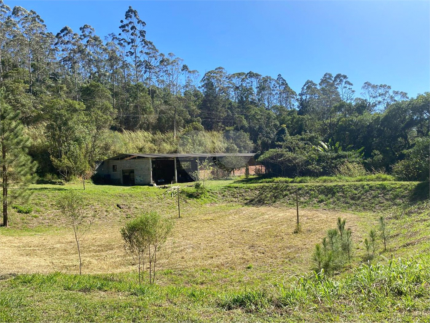 Sítio à venda com 2 quartos, sendo 1 suíte, em Ibiúna, Ibiúna, SP