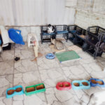 Sobrado à venda com 3 quartos em Tremembé, São Paulo, SP