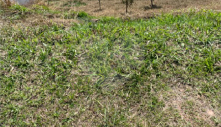 Terreno à venda no condomínio Arujá Hills Iii, Arujá - SP