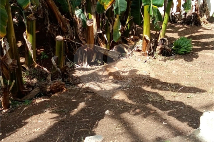 Terreno à venda em Freguesia do Ó, São Paulo, SP