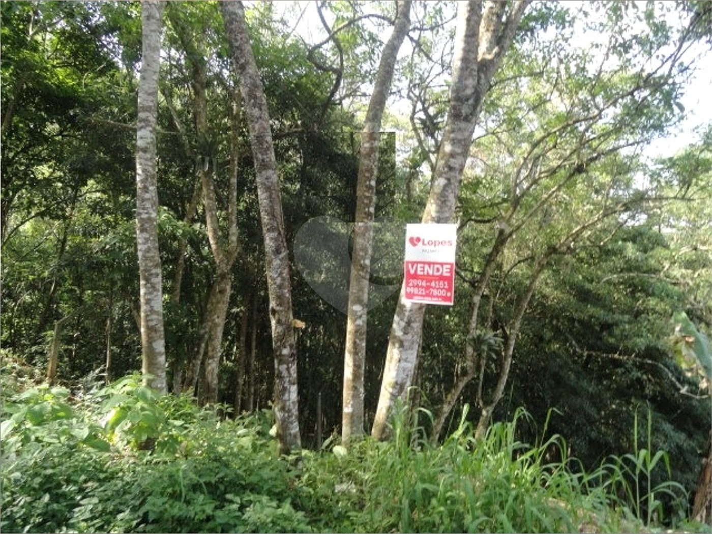 Terreno à venda em Samambaia, Mairiporã, SP